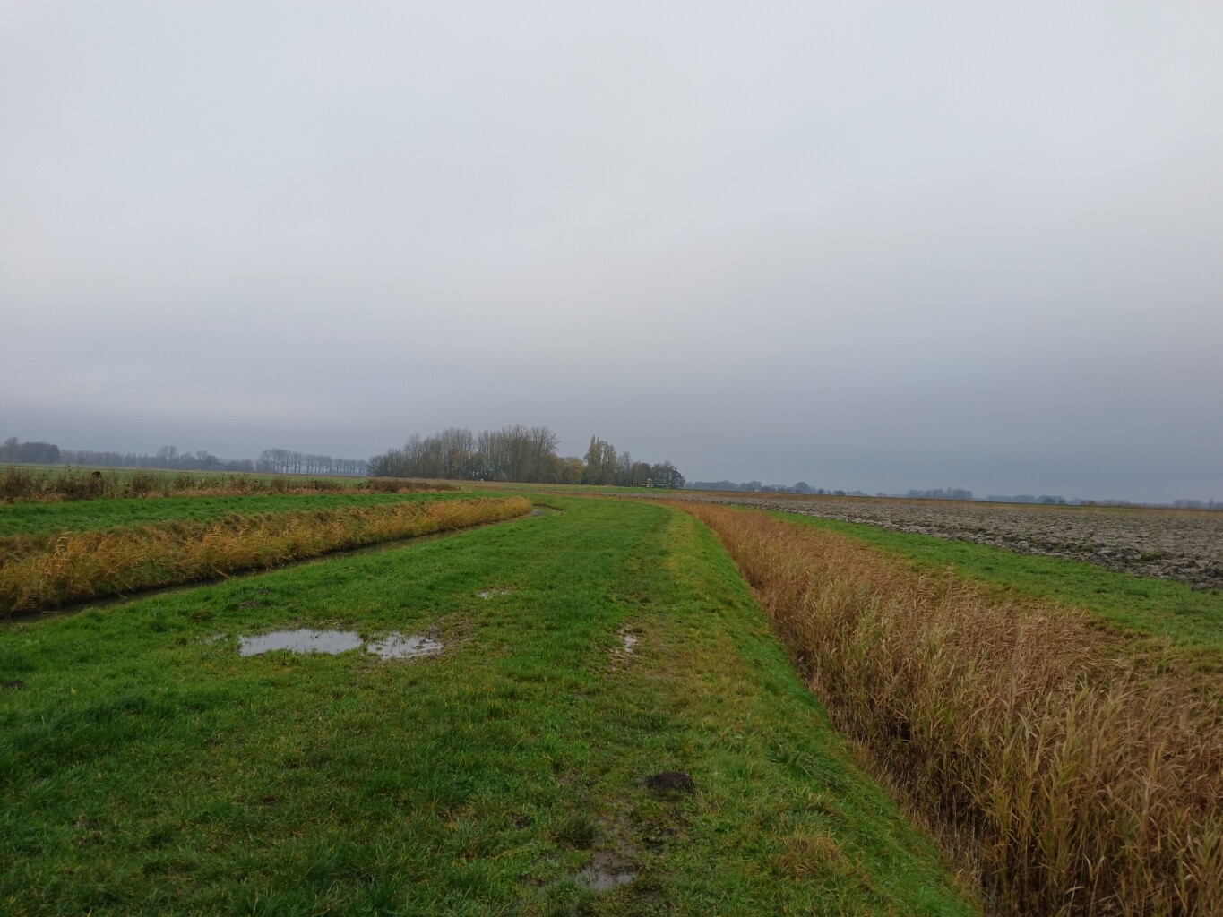 Zeerijp - Appingedam · Groninger Borgenpad etappe 12