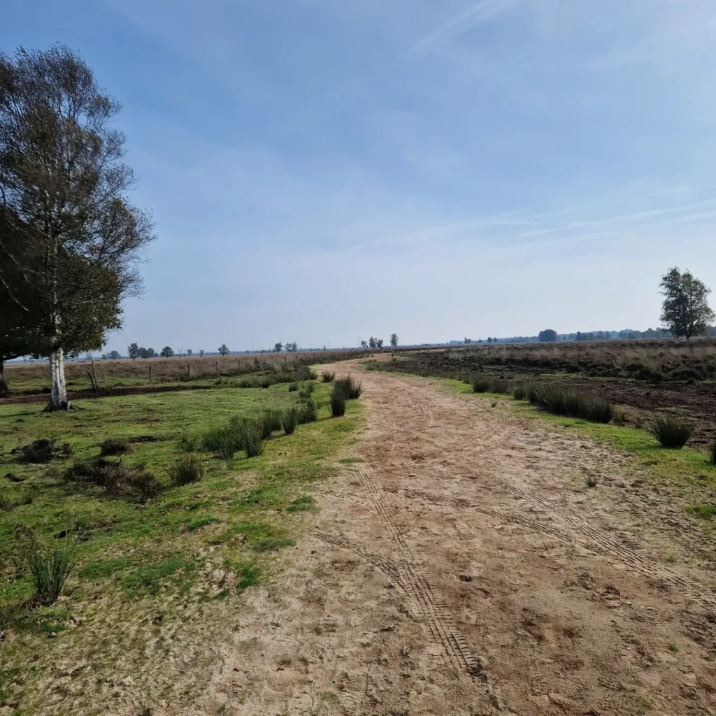 Het Unieke Bargerveen