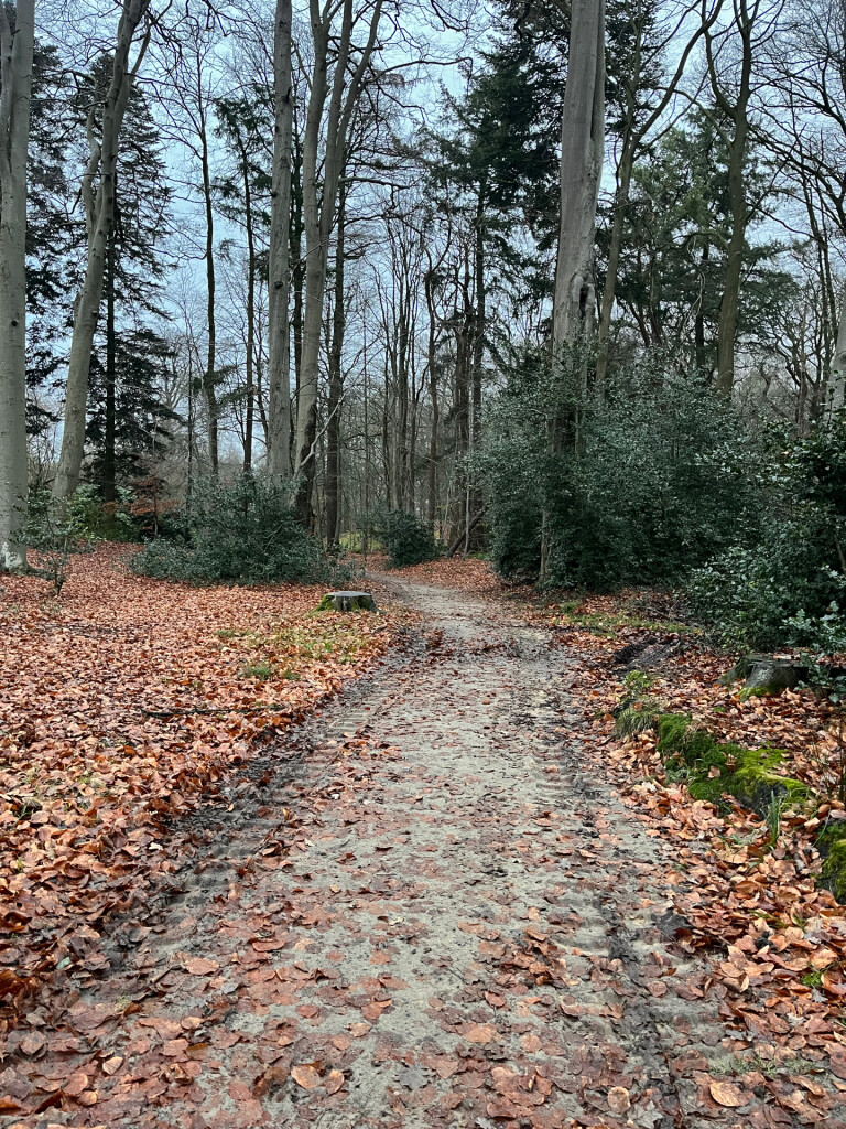 Parkbosroute landgoed De Braak (Drenthe)