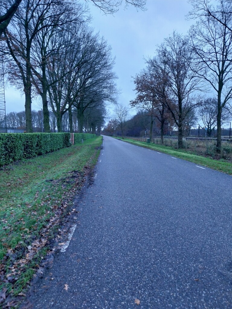 Vierlingsbeek Swolgen