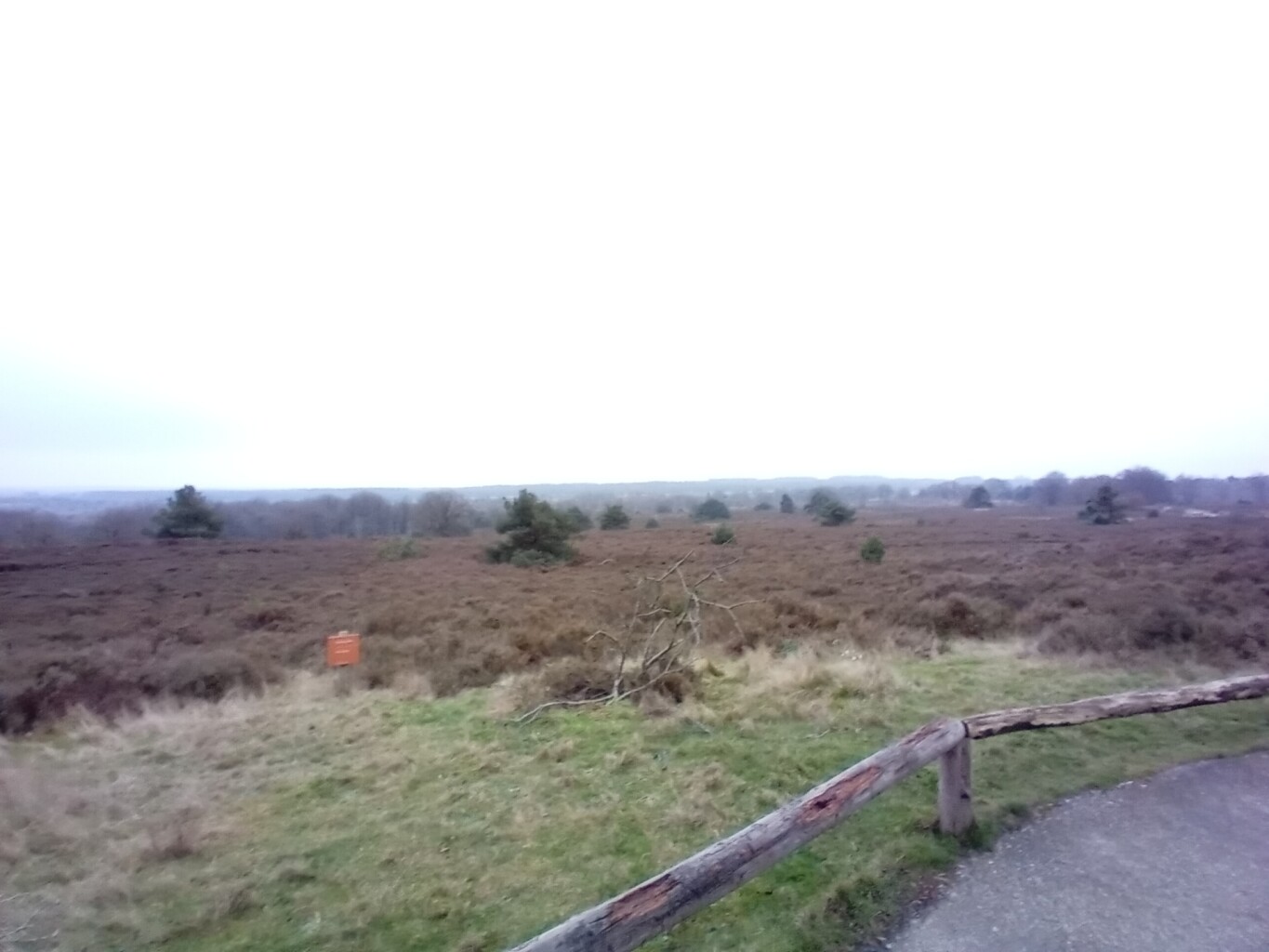 Sallandse Heuvelrug - Rood