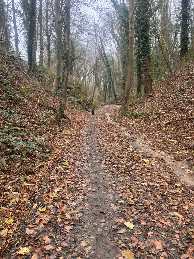 Pieterpad deel van etappe 25; Nuth - Sittard