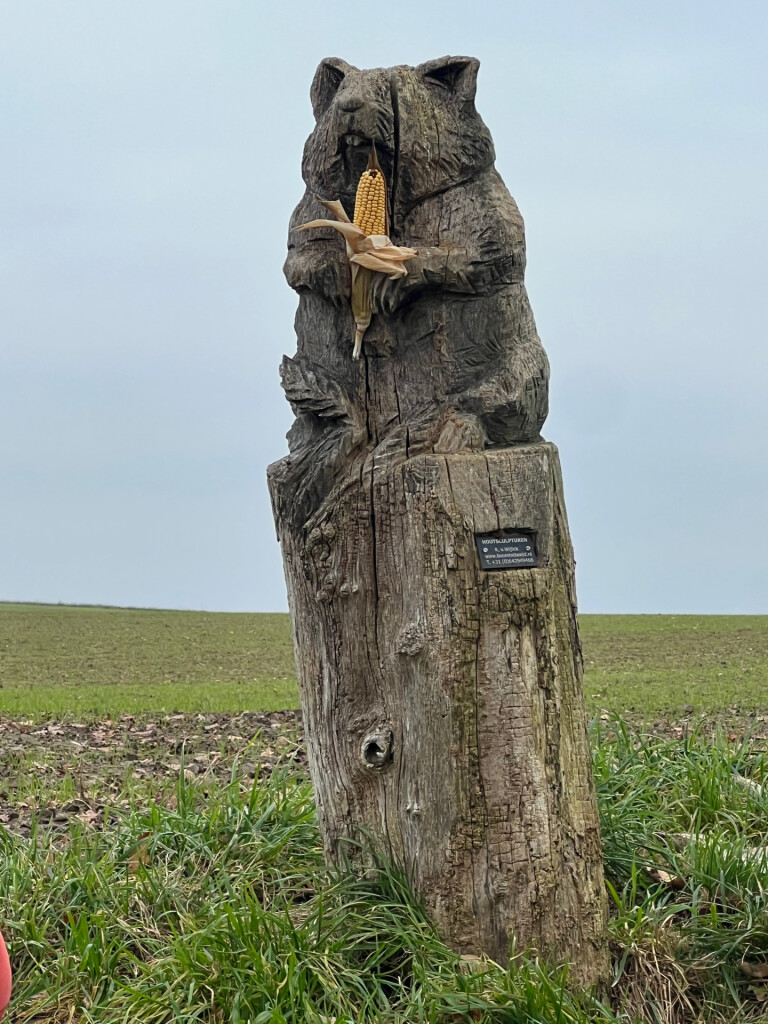 Pieterpad deel van etappe 25; Nuth - Sittard