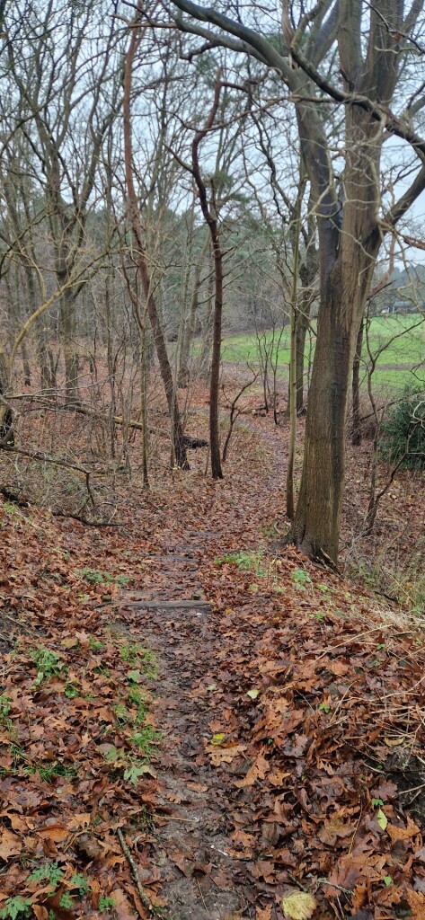 Braakhekke Bultenpad Harfsen