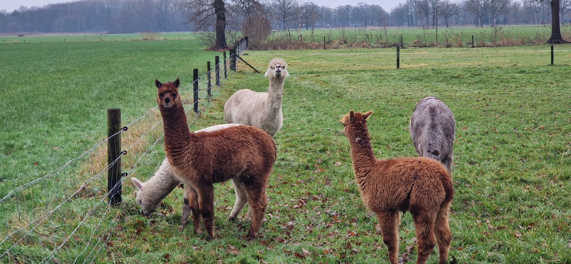Braakhekke Bultenpad Harfsen