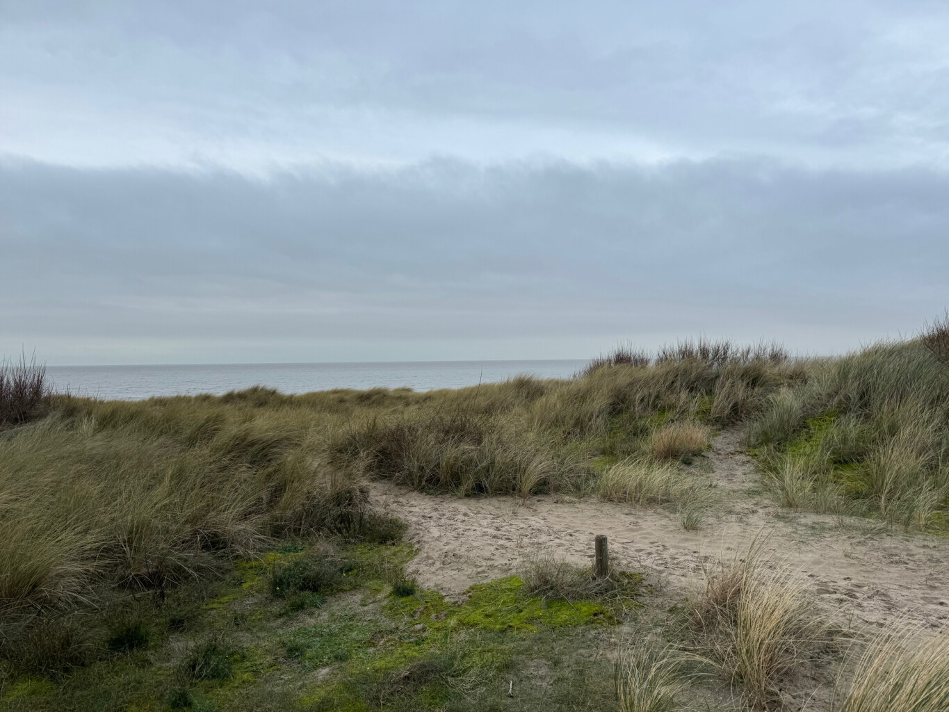 Waterkantpad Bredene