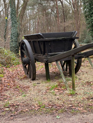 Grafheuvels en leemkuilen op de Herikerberg