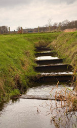 Kwartierdorp - Groen
