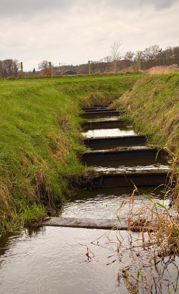 Kwartierdorp - Groen