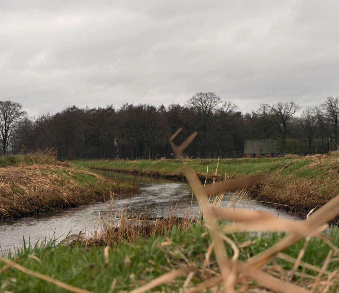 Kwartierdorp - Groen