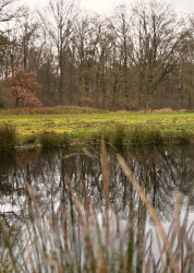 Needse Achterveld route