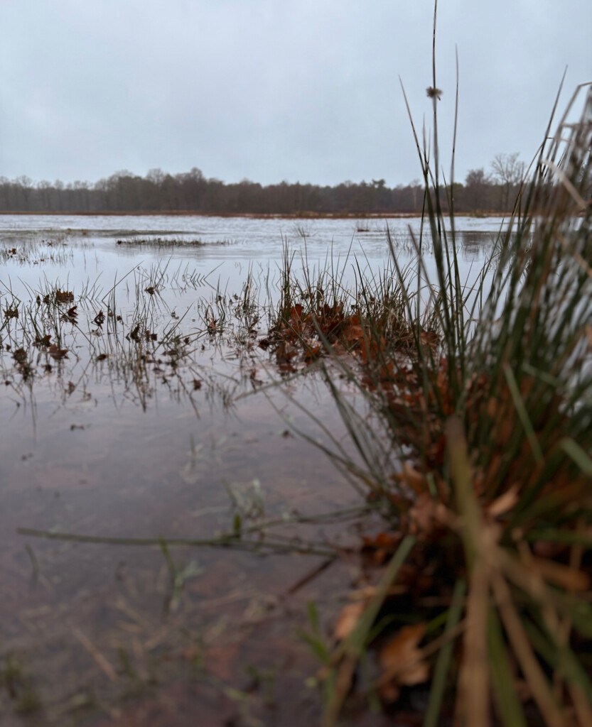 Needse Achterveld route