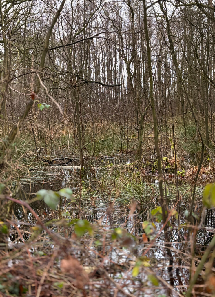 Needse Achterveld route