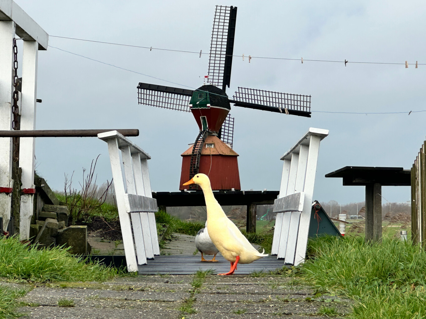 Aarlanderveen - Reeuwijk · Pelgrimspad etappe 4