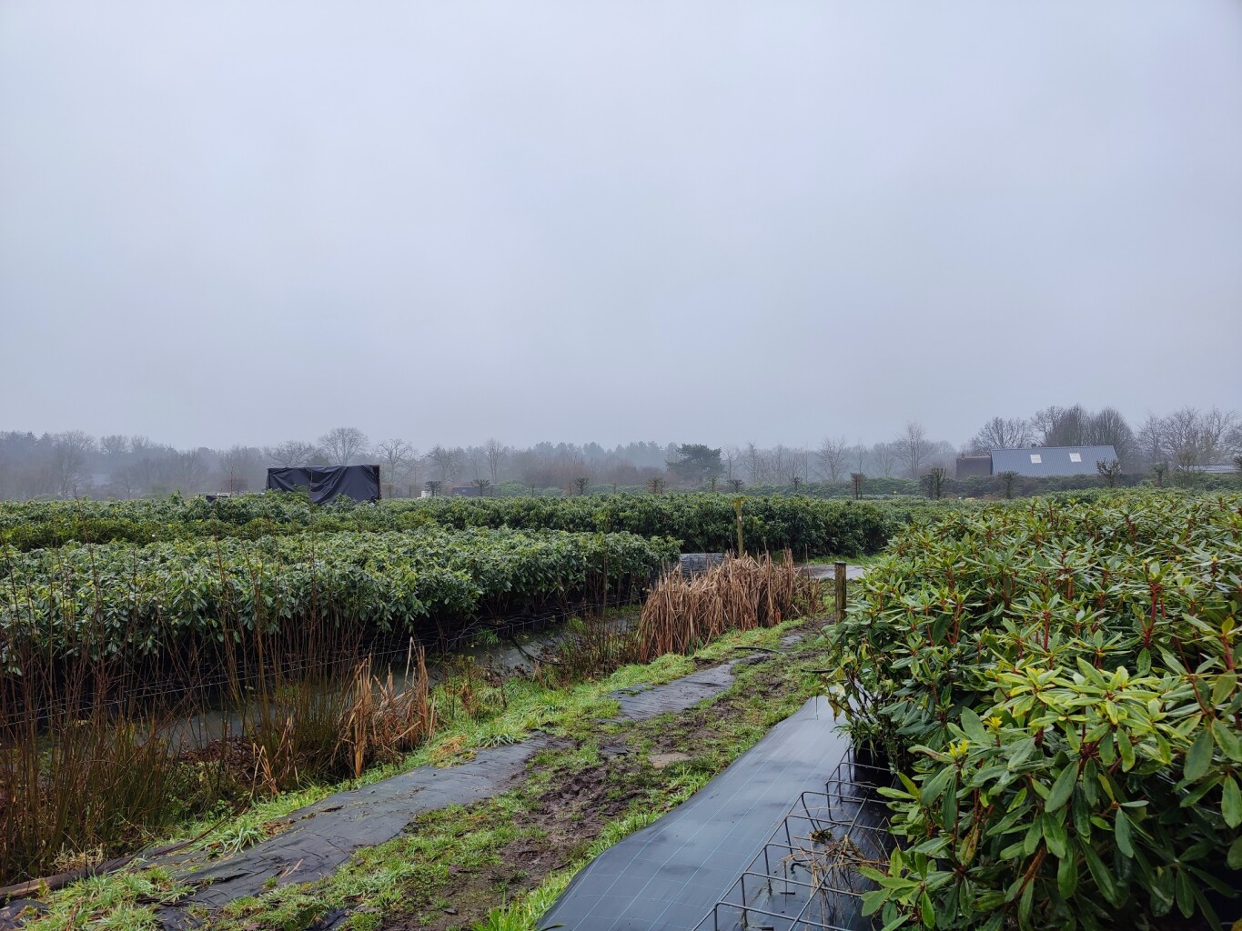 Beek- en Bultpad Wekerom