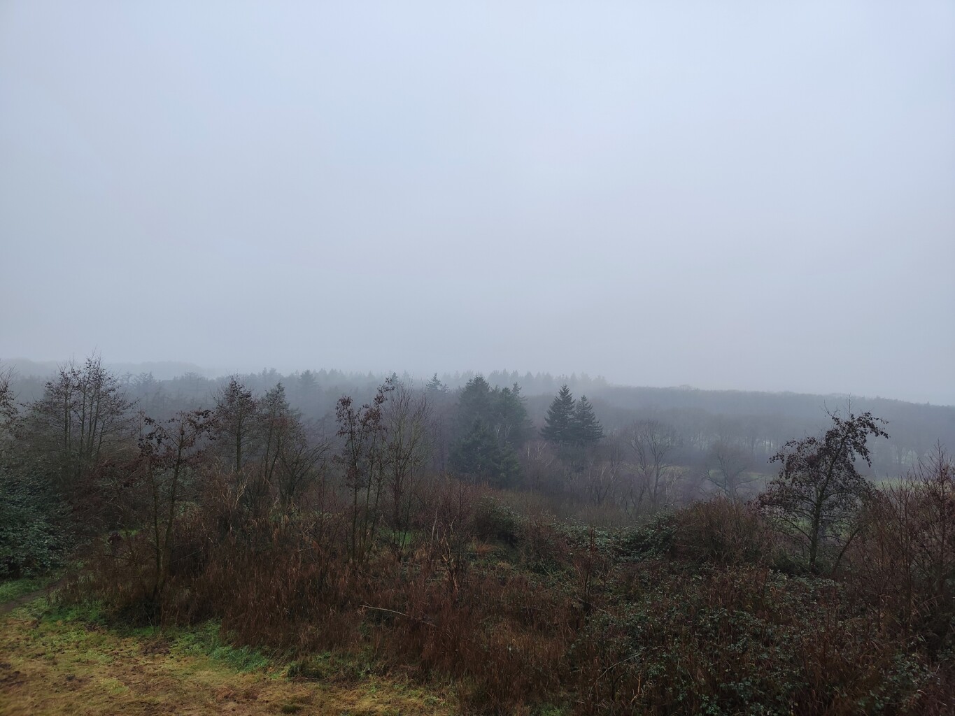 Beek- en Bultpad Wekerom