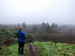 Beek- en Bultpad Wekerom