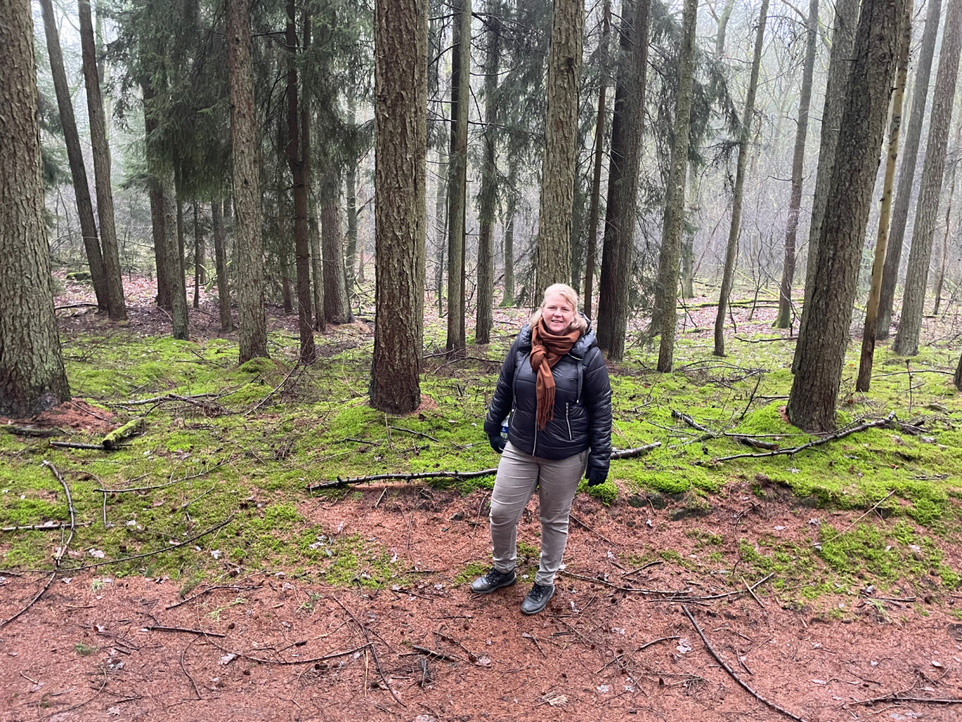 Diever Ommetje King Lear