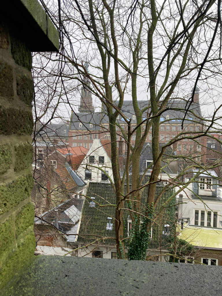 Leiden - Wassenaar · Marskramerpad etappe 19