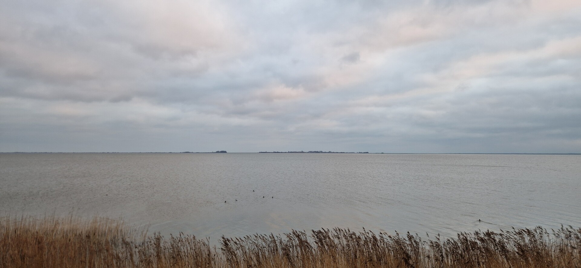 Monnickendam - Durgerdam · Zuiderzeepad etappe 5