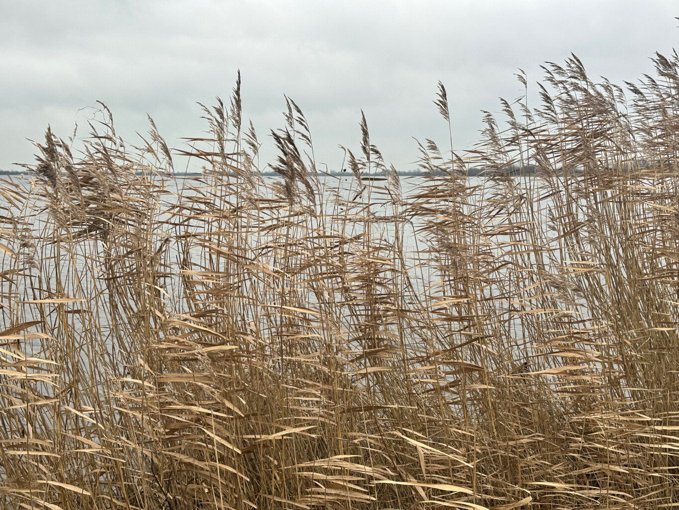 Reeuwijk - Haastrecht · Pelgrimspad etappe 5