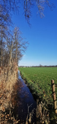 Beukenburgerpad 