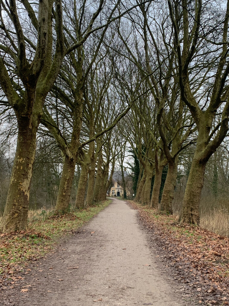 Boxtel - 's-Hertogenbosch · Dommelpad etappe 6