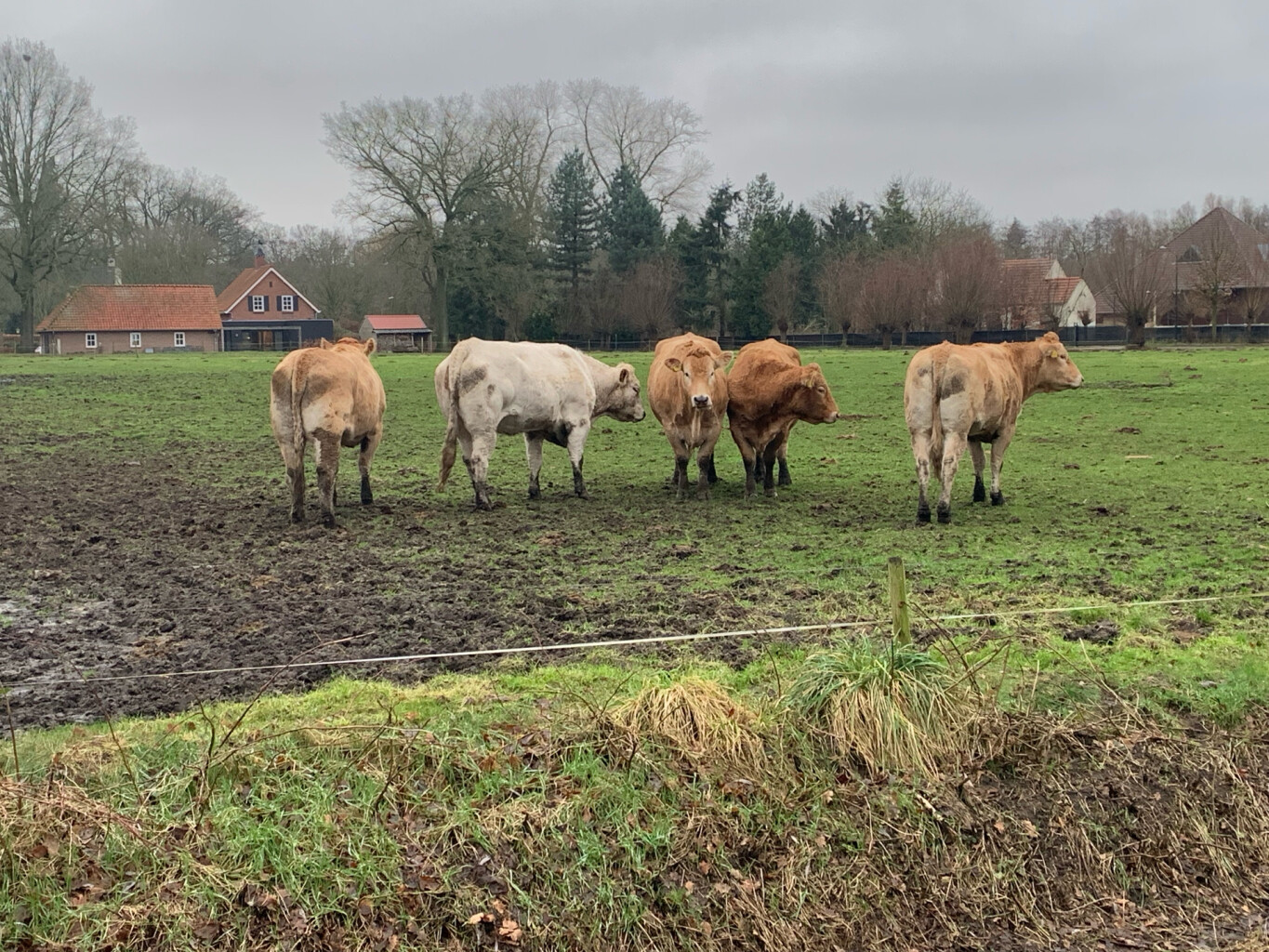 Boxtel - 's-Hertogenbosch · Dommelpad etappe 6