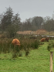 Boxtel - 's-Hertogenbosch · Dommelpad etappe 6