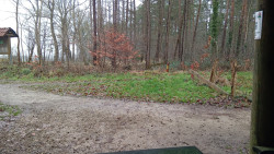De Poppe - Paars