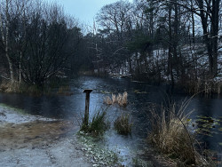 Breda wandelen