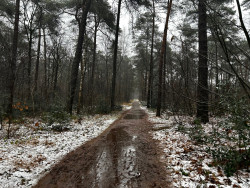 Breda wandelen