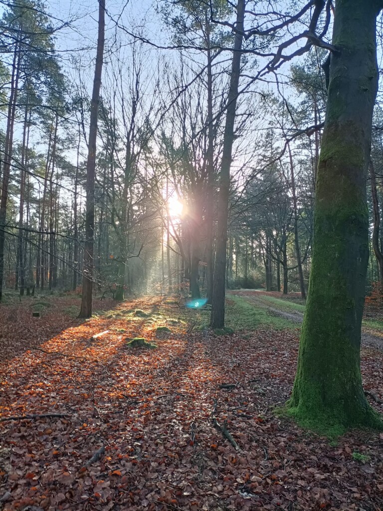 Borger - Odoornerdennen · Drenthepad etappe 13