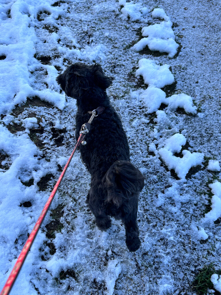 20250110 Heel Beegden