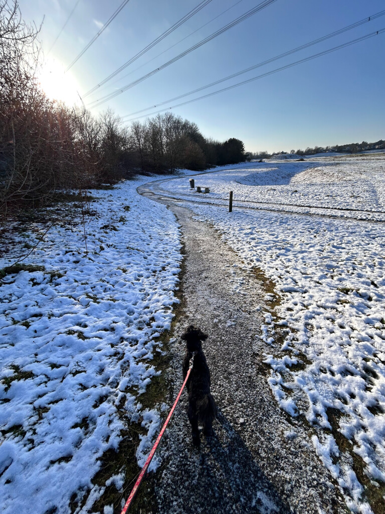 20250110 Heel Beegden