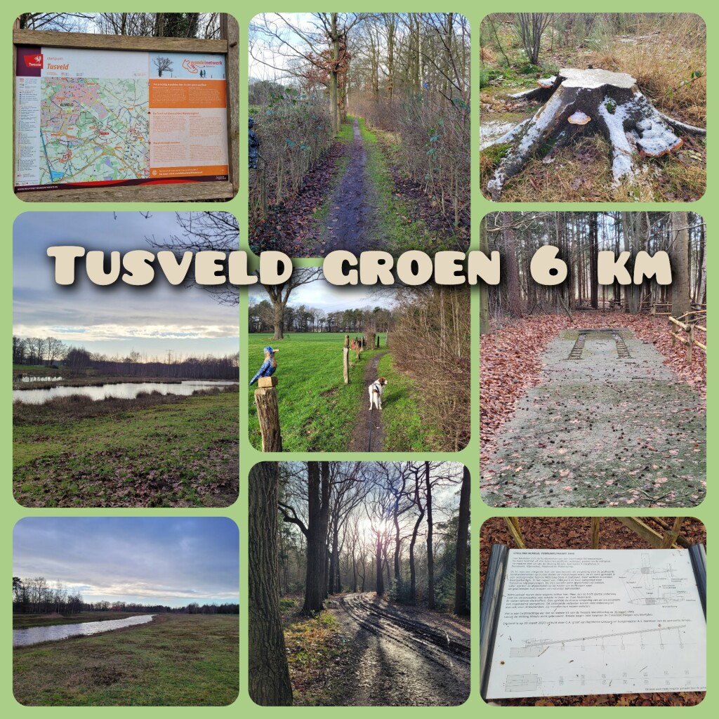Tusveld - Groen