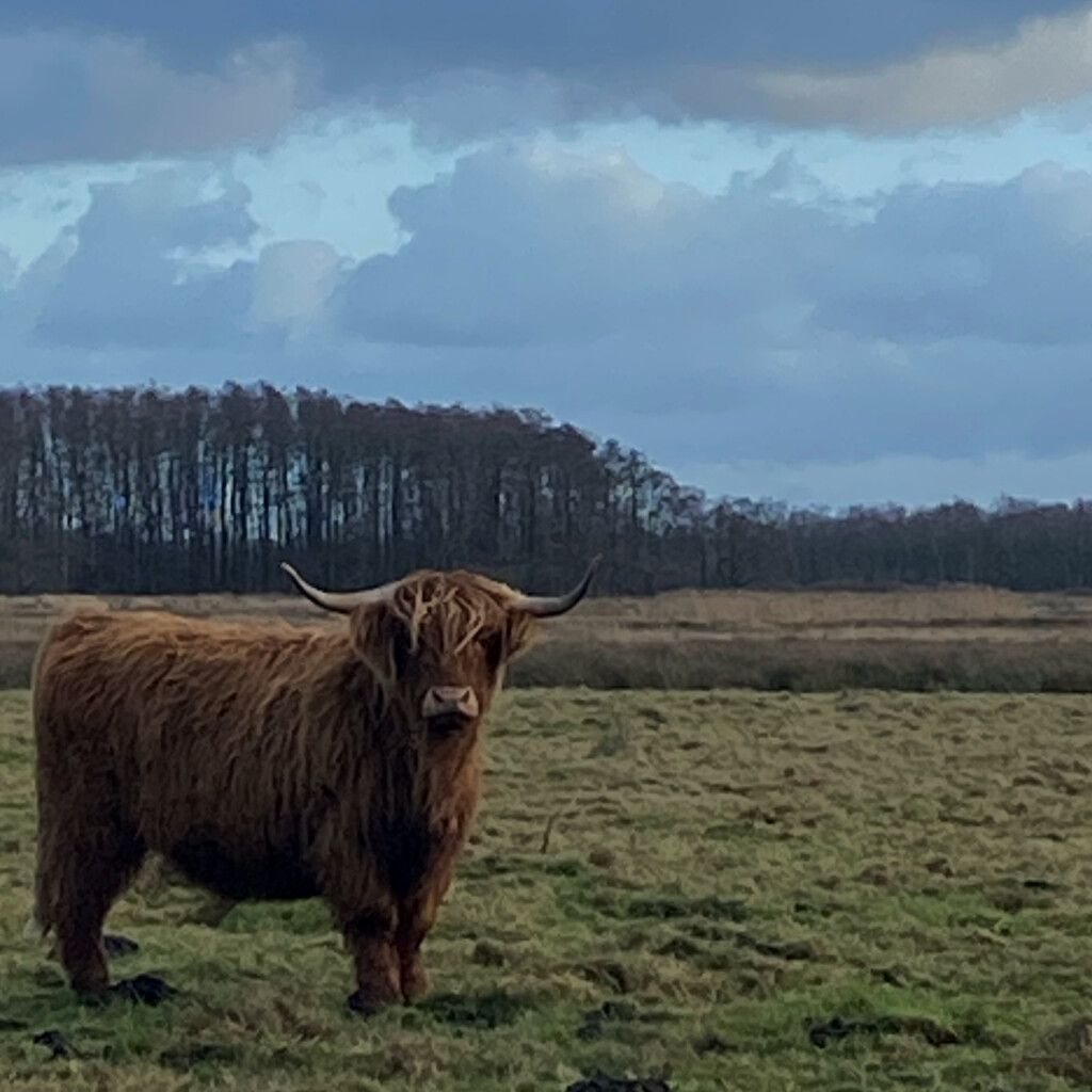 Veenhuizen - Norg · Drenthepad etappe 6