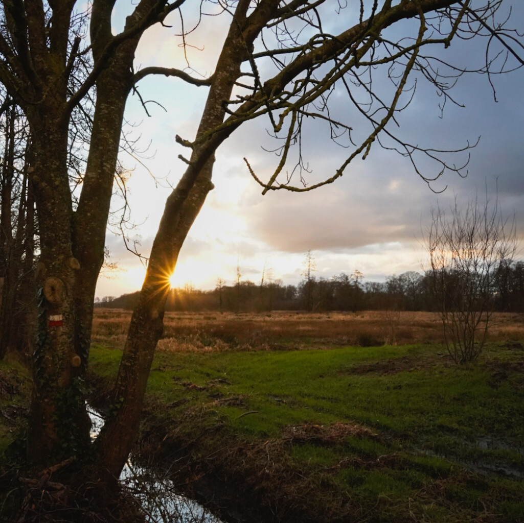 Boswachterspad Deurzerdiep 