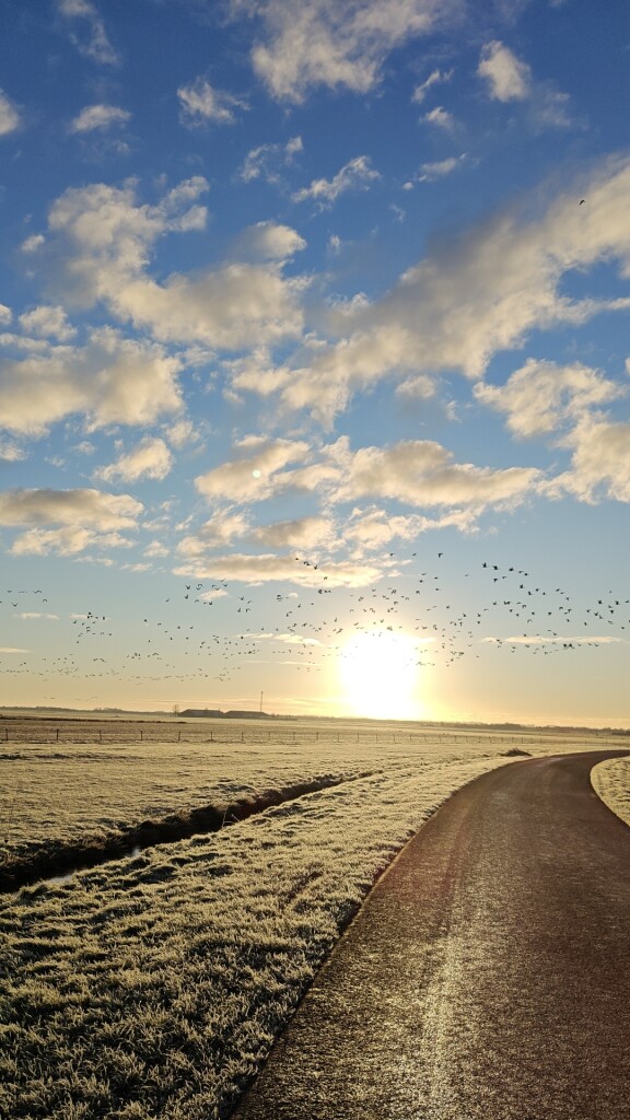Wandelen door It Lege Midden
