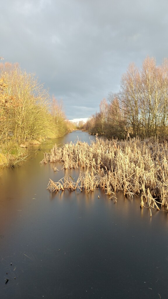 Wandelen door It Lege Midden