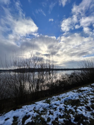 20250112 Grote Vlieter Heel