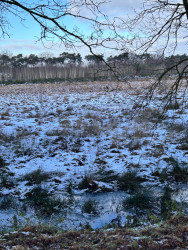 20250112 Grote Vlieter Heel