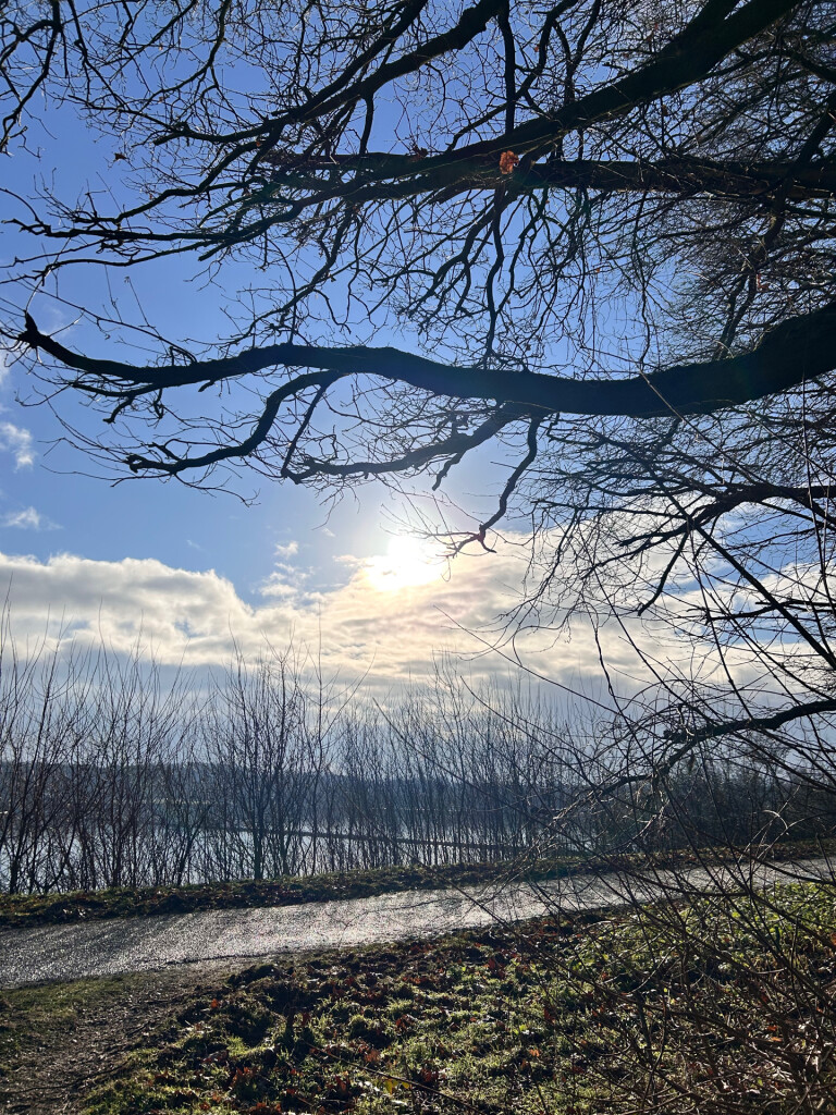 20250112 Grote Vlieter Heel