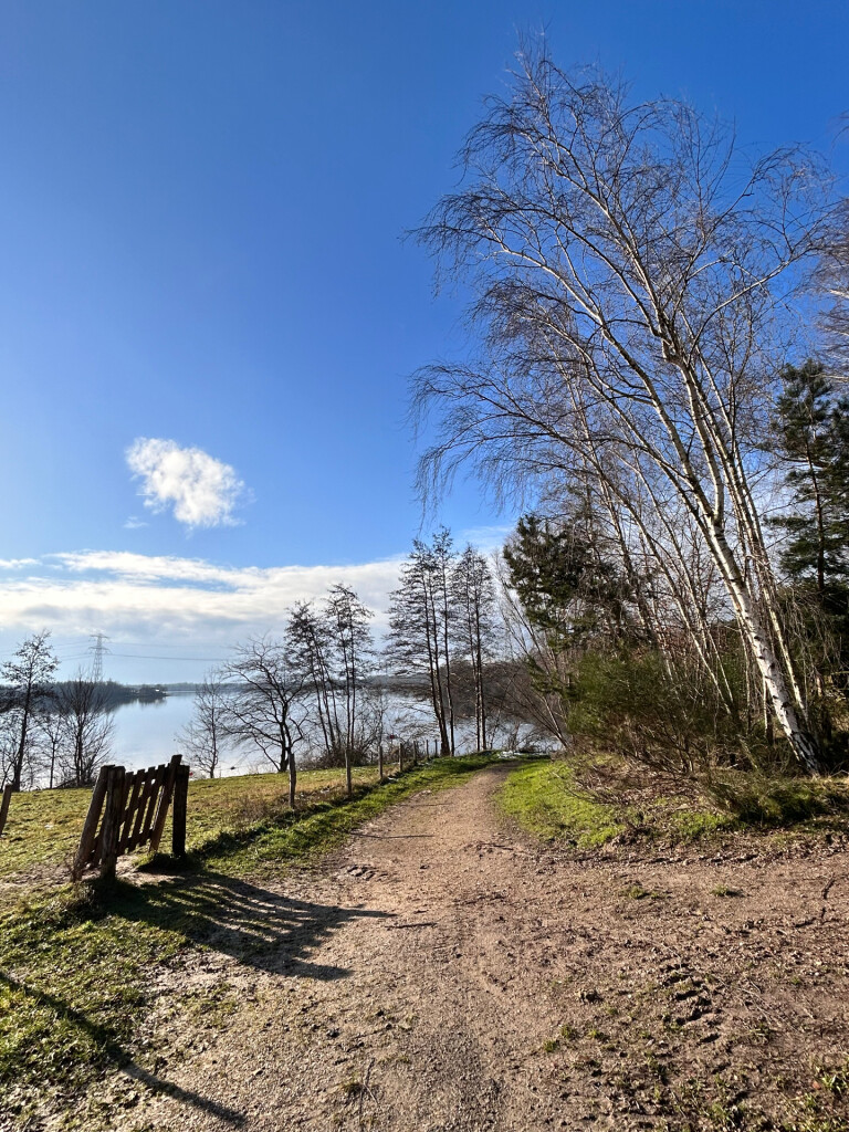 20250112 Grote Vlieter Heel