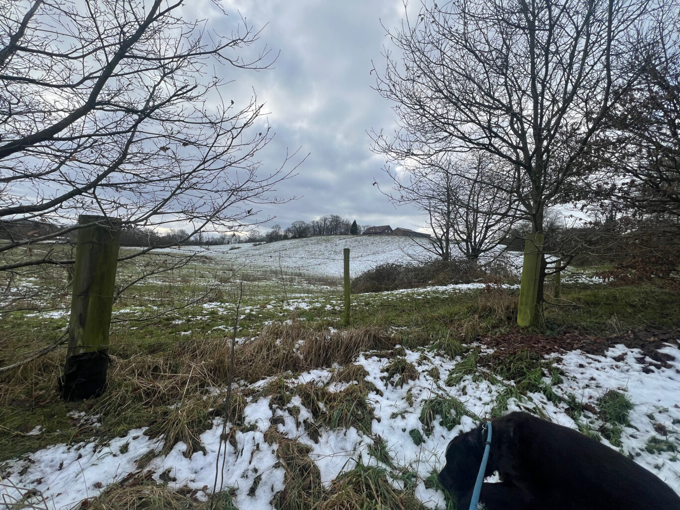 Romeinse Limespad Berg en Dal - Wolfsberg