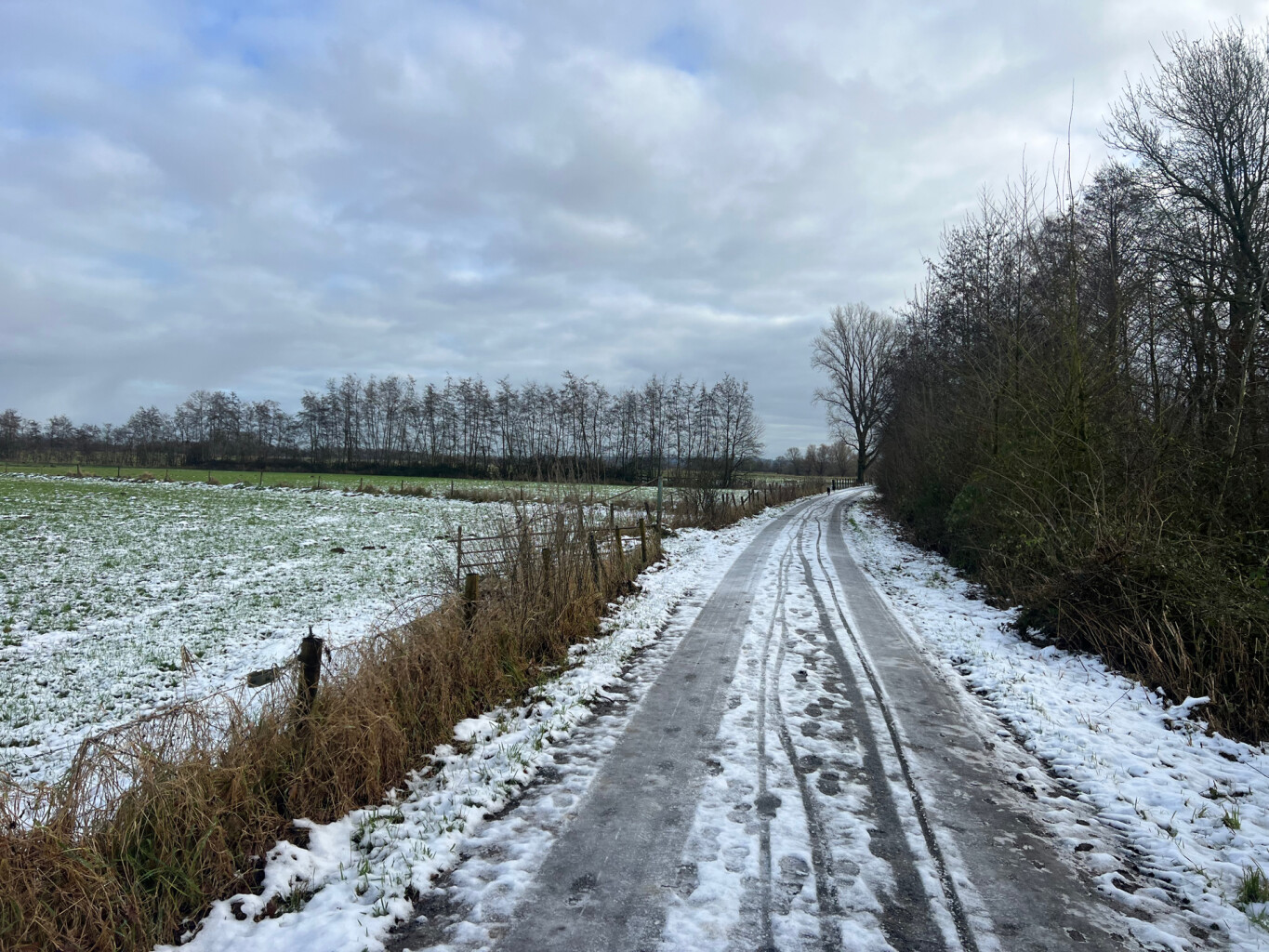 Romeinse Limespad Berg en Dal - Wolfsberg