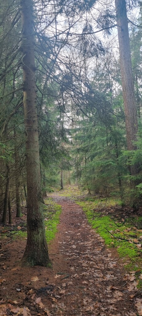 Wandelroute Zevenheuveltjes