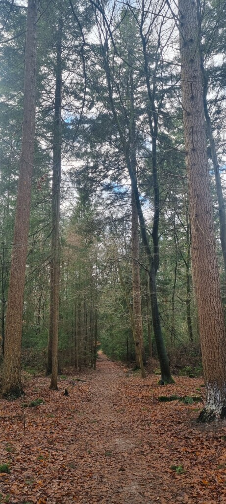 Wandelroute Zevenheuveltjes