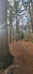 Wandelroute Zevenheuveltjes