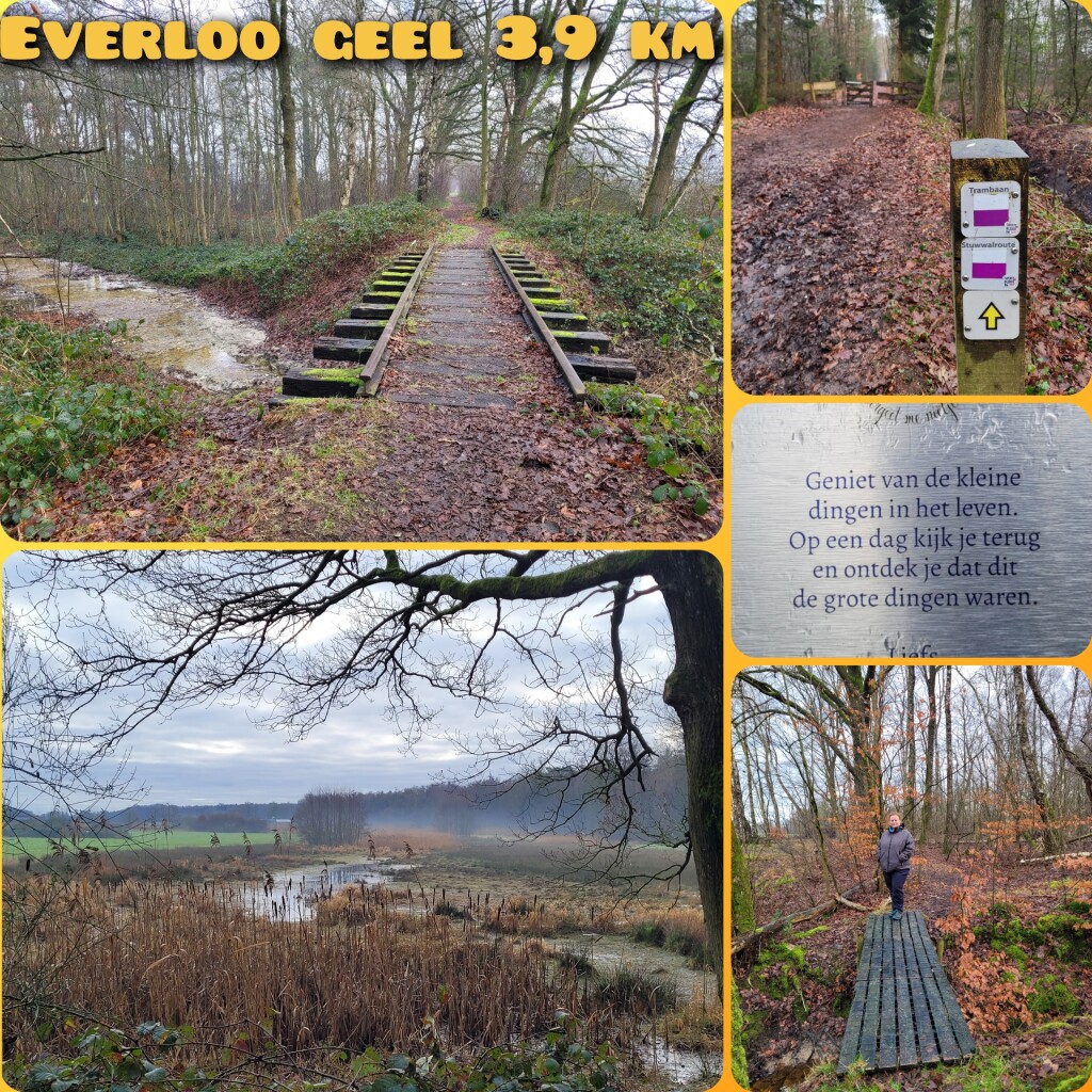 Everloo - Geel